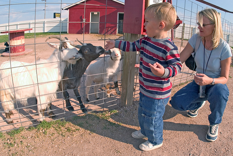 Family Fun at Old MacDonald's Farm! Family Four-Pack for ONLY $37.00!
