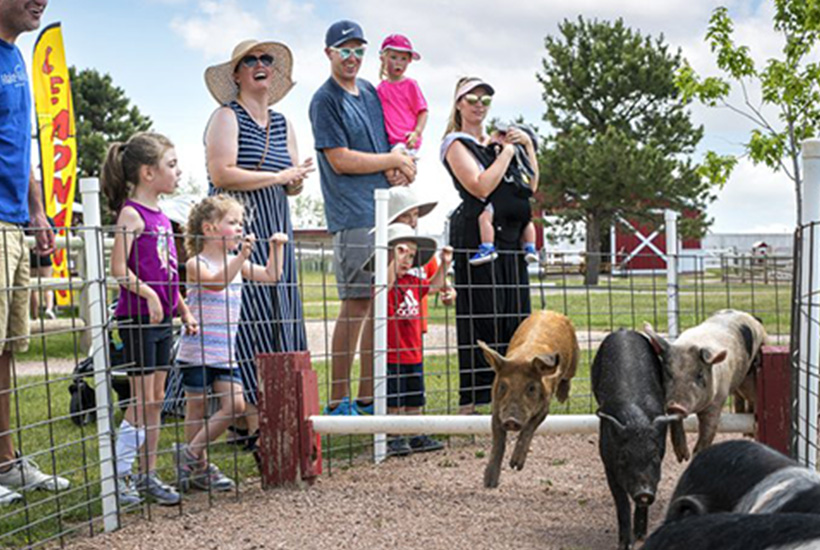 Click Big Deals - Family Fun at Old MacDonald's Farm! Family Four-Pack for ONLY $37.00!