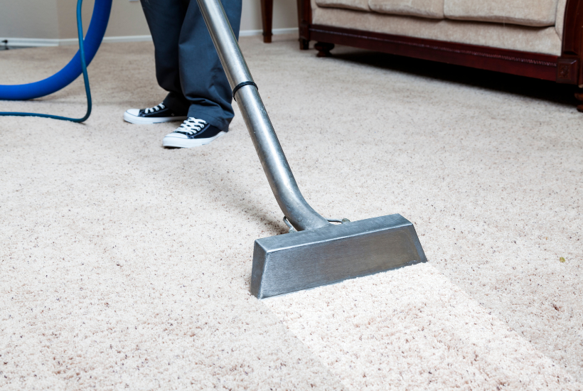 Keep Your Living And Bedroom Carpets Clean With Homestead Carpet Care For ONLY $75! That's HALF OFF! 