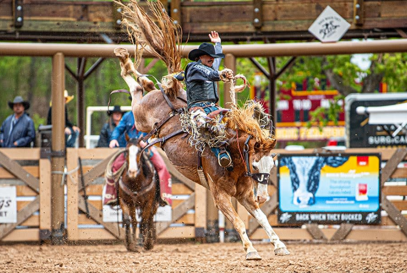 BOGO Tickets to Back When They Bucked Rodeo at the Days of 76 Arena In Deadwood, Sunday, May 24th For ONLY $30! 