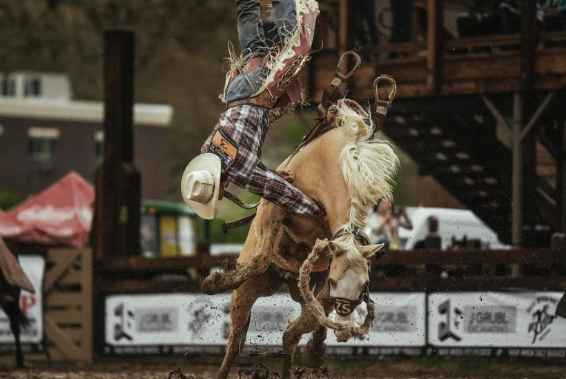 BOGO Tickets to Back When They Bucked Rodeo at the Days of 76 Arena In Deadwood, Sunday, May 24th For ONLY $30! 